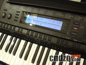 Casio新款電子琴蓄勢待發，官方圖片率先曝光