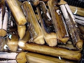 警惕餐桌風險 食用農(nóng)產(chǎn)品批發(fā)中的抗生素超標海鮮