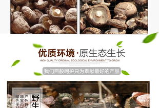 福建特產(chǎn)富農(nóng)園香菇 品質(zhì)冬菇的干貨魅力與批發(fā)優(yōu)勢